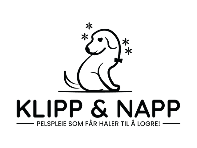 Klipp & Napp logo